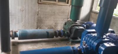 成都污水處理廠：羅茨鼓風(fēng)機(jī)項(xiàng)目